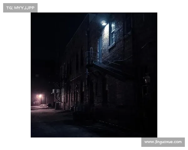 暗夜幽魂降临攻略:揭秘月华下的奇幻世界 暗夜幽魂降临攻略:揭秘月华下的奇幻世界